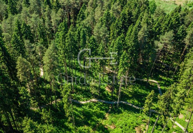 Ренессанс Парк